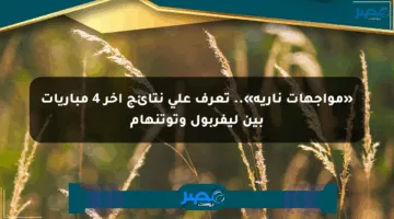 «مواجهات نارية».. تعرف على نتائج آخر 4 مباريات بين ليفربول وتوتنهام